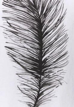 Anna Field T-Shirt Print - White -Anna Field ed3c490e271a48caa60a9a75a7328136